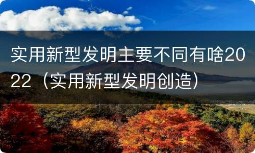 实用新型发明主要不同有啥2022（实用新型发明创造）