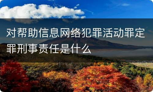 对帮助信息网络犯罪活动罪定罪刑事责任是什么