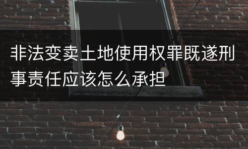 非法变卖土地使用权罪既遂刑事责任应该怎么承担