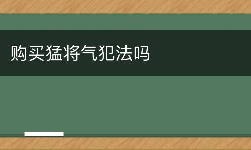 购买猛将气犯法吗