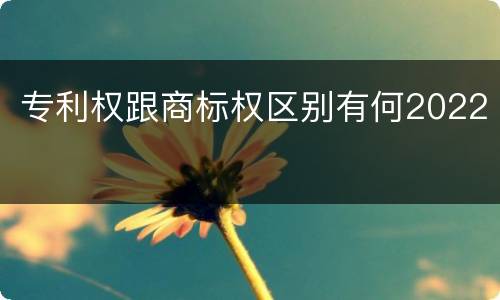 专利权跟商标权区别有何2022