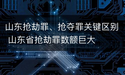 山东抢劫罪、抢夺罪关键区别 山东省抢劫罪数额巨大