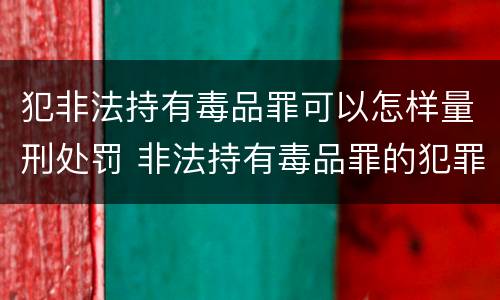 犯非法持有毒品罪可以怎样量刑处罚 非法持有毒品罪的犯罪构成