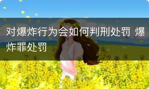 对爆炸行为会如何判刑处罚 爆炸罪处罚