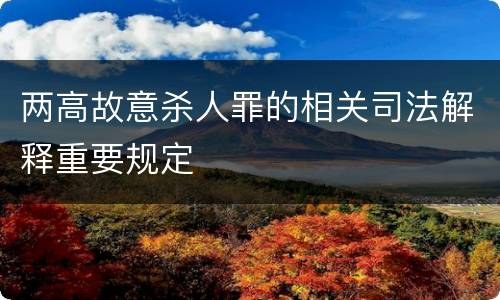 两高故意杀人罪的相关司法解释重要规定