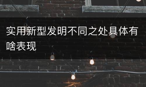 实用新型发明不同之处具体有啥表现
