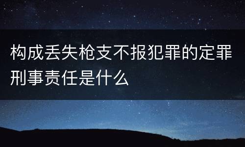 构成丢失枪支不报犯罪的定罪刑事责任是什么