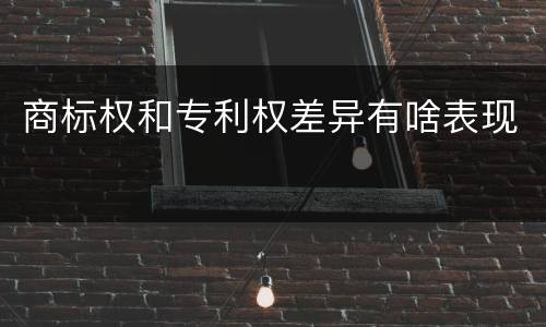 商标权和专利权差异有啥表现