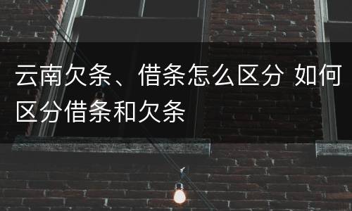 云南欠条、借条怎么区分 如何区分借条和欠条