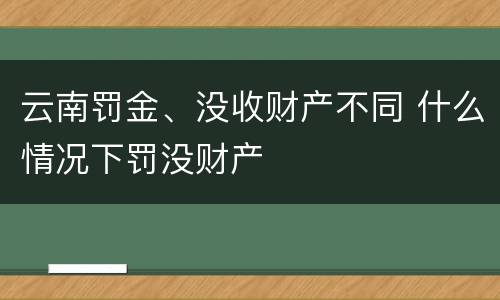 云南罚金、没收财产不同 什么情况下罚没财产