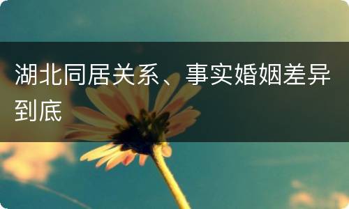 湖北同居关系、事实婚姻差异到底