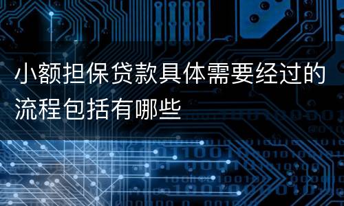 小额担保贷款具体需要经过的流程包括有哪些
