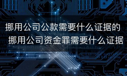 挪用公司公款需要什么证据的 挪用公司资金罪需要什么证据