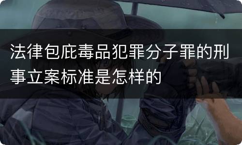法律包庇毒品犯罪分子罪的刑事立案标准是怎样的