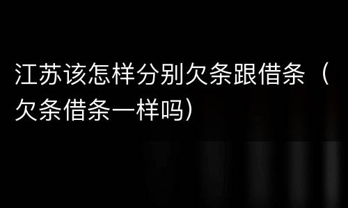 江苏该怎样分别欠条跟借条（欠条借条一样吗）