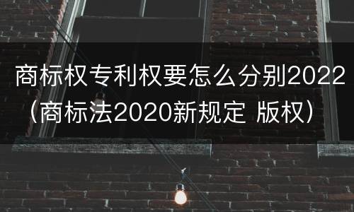 商标权专利权要怎么分别2022（商标法2020新规定 版权）