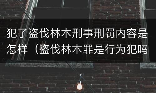 犯了盗伐林木刑事刑罚内容是怎样（盗伐林木罪是行为犯吗）