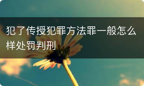 犯了传授犯罪方法罪一般怎么样处罚判刑