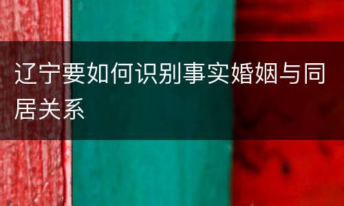 辽宁要如何识别事实婚姻与同居关系