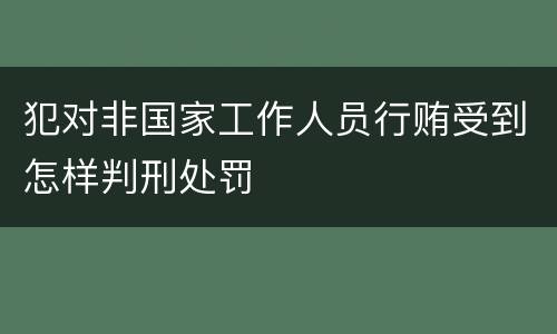 犯对非国家工作人员行贿受到怎样判刑处罚