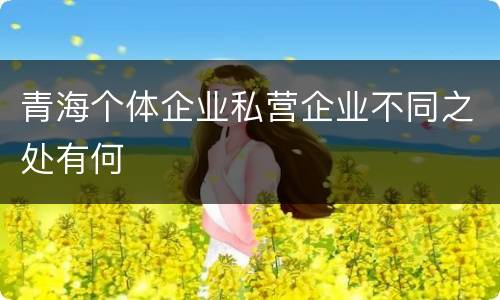 青海个体企业私营企业不同之处有何