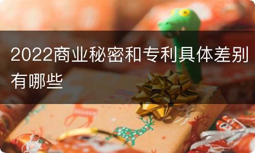 2022商业秘密和专利具体差别有哪些