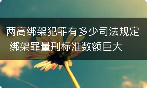 两高绑架犯罪有多少司法规定 绑架罪量刑标准数额巨大