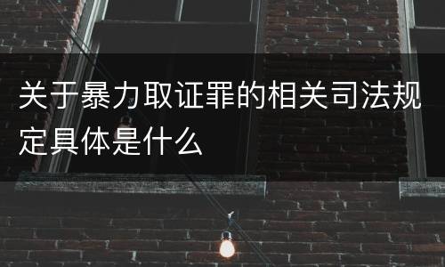 关于暴力取证罪的相关司法规定具体是什么