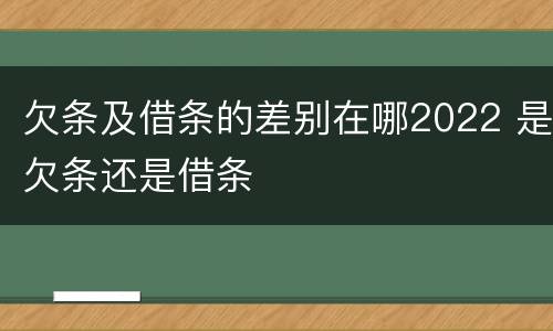 欠条及借条的差别在哪2022 是欠条还是借条