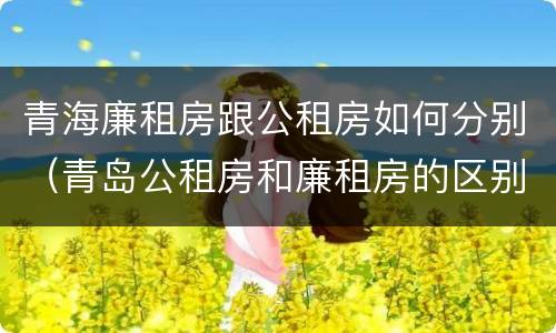 青海廉租房跟公租房如何分别（青岛公租房和廉租房的区别）