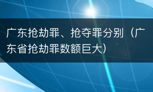 广东抢劫罪、抢夺罪分别（广东省抢劫罪数额巨大）