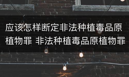 应该怎样断定非法种植毒品原植物罪 非法种植毒品原植物罪问题