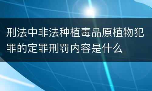 刑法中非法种植毒品原植物犯罪的定罪刑罚内容是什么
