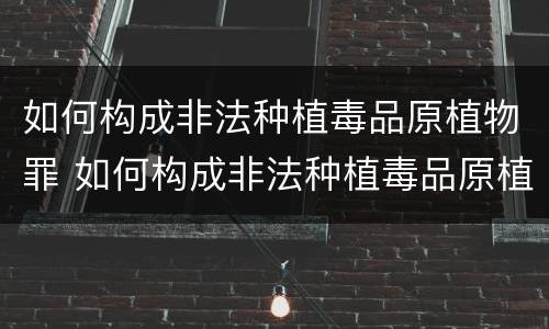 如何构成非法种植毒品原植物罪 如何构成非法种植毒品原植物罪