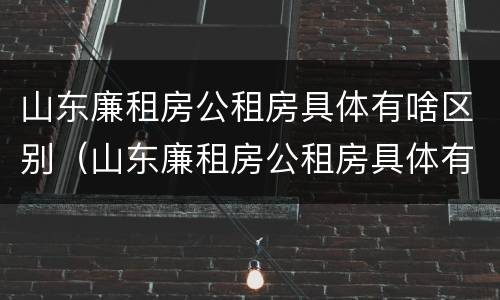 山东廉租房公租房具体有啥区别（山东廉租房公租房具体有啥区别啊）