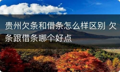 贵州欠条和借条怎么样区别 欠条跟借条哪个好点