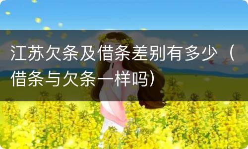 江苏欠条及借条差别有多少（借条与欠条一样吗）