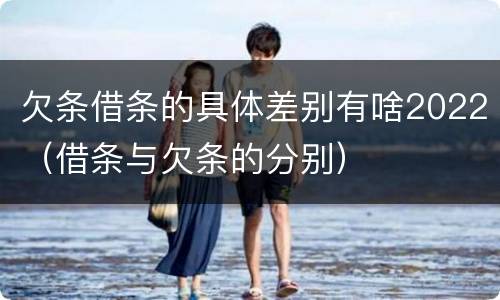 欠条借条的具体差别有啥2022（借条与欠条的分别）