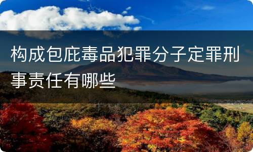 构成包庇毒品犯罪分子定罪刑事责任有哪些