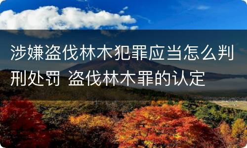 涉嫌盗伐林木犯罪应当怎么判刑处罚 盗伐林木罪的认定