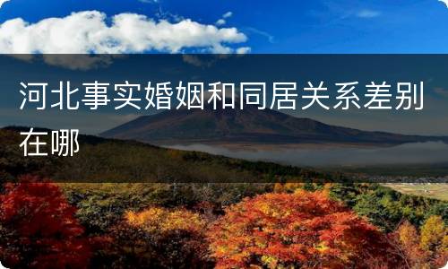河北事实婚姻和同居关系差别在哪