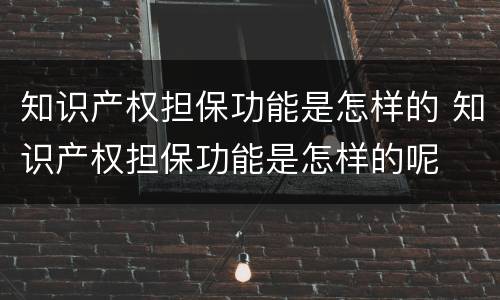 知识产权担保功能是怎样的 知识产权担保功能是怎样的呢