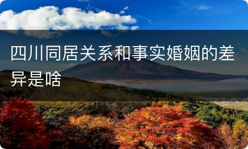 四川同居关系和事实婚姻的差异是啥