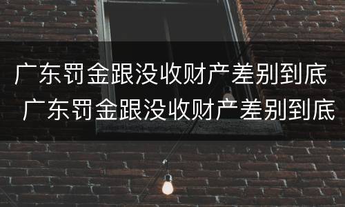 广东罚金跟没收财产差别到底 广东罚金跟没收财产差别到底多大