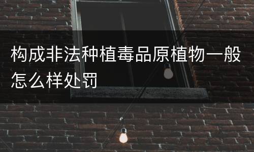 构成非法种植毒品原植物一般怎么样处罚