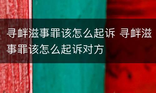 寻衅滋事罪该怎么起诉 寻衅滋事罪该怎么起诉对方