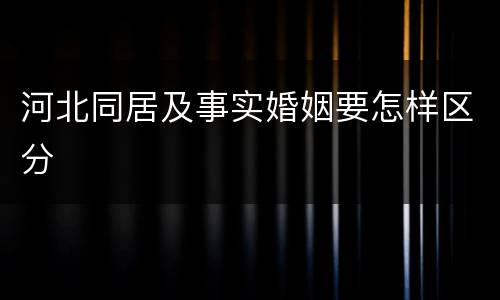 河北同居及事实婚姻要怎样区分