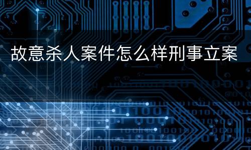 故意杀人案件怎么样刑事立案