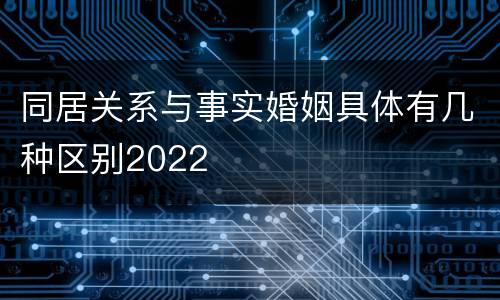 同居关系与事实婚姻具体有几种区别2022