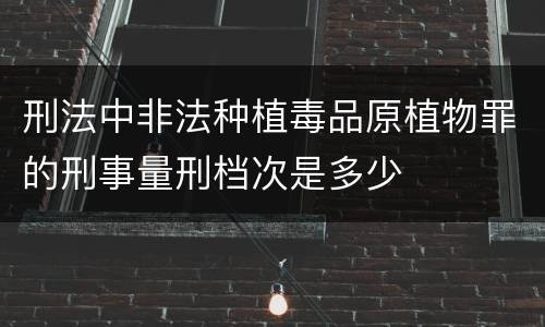 刑法中非法种植毒品原植物罪的刑事量刑档次是多少